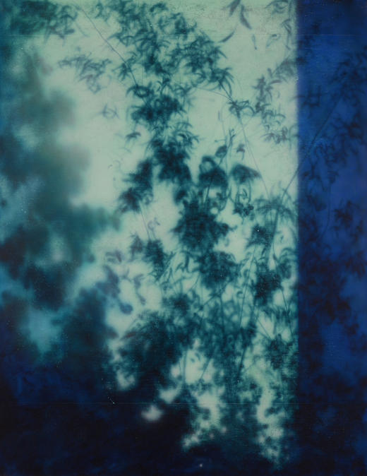 张利平《影35》原作 商品图0