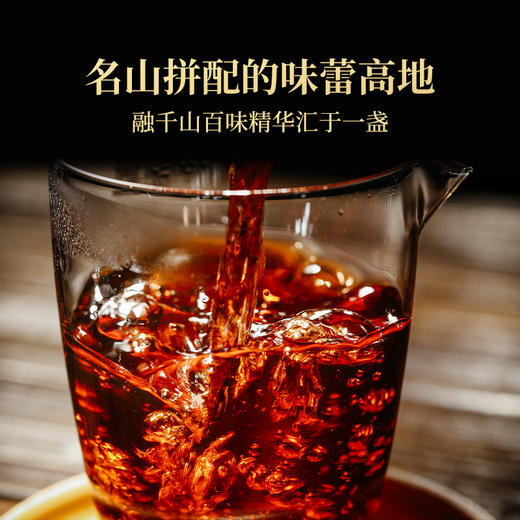 澜沧古茶2009年第1代乌金普洱熟茶名山古树熟普砖茶125g 商品图4