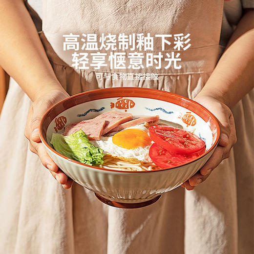 摩登主妇汤面碗家用2024新款面条碗泡面碗大碗斗笠碗吃面碗拉面碗 商品图1