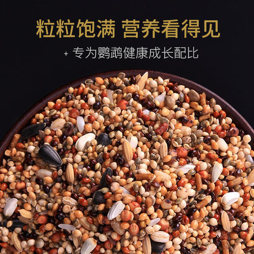 鹦鹉主粮500g/袋混合五谷亚麻籽 鸟类主食饲料批发 商品图1