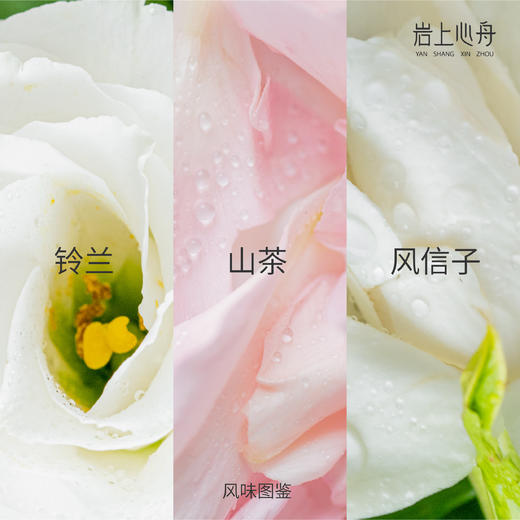 岩上心舟 | 非遗原香挂耳·花香大红袍 | 清甜柔滑 商品图1