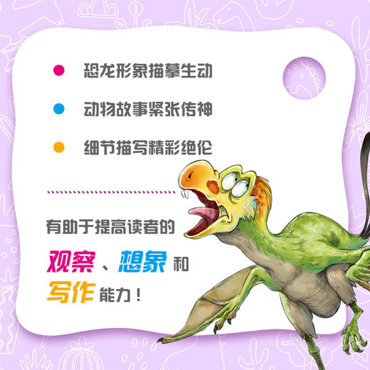 飞天奇翼龙 沈石溪 李花三吉/著  安徽少年儿童出版社 商品图4