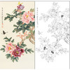 俞致贞花鸟工笔画白描底稿《蝶恋花》牡丹临摹勾线高清打印稿ZZ10 商品缩略图0