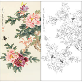 俞致贞花鸟工笔画白描底稿《蝶恋花》牡丹临摹勾线高清打印稿ZZ10
