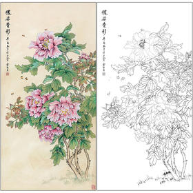 俞致贞花鸟工笔画白描底稿《秾姿贵彩》牡丹临摹勾线高清打印稿ZZ03
