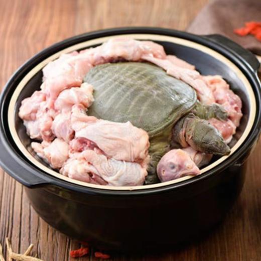 【霸王鳖鸡套餐】滋补界的“神仙搭档”黄油老母鸡+甲鱼滋补养生胶原蛋白满满 商品图4