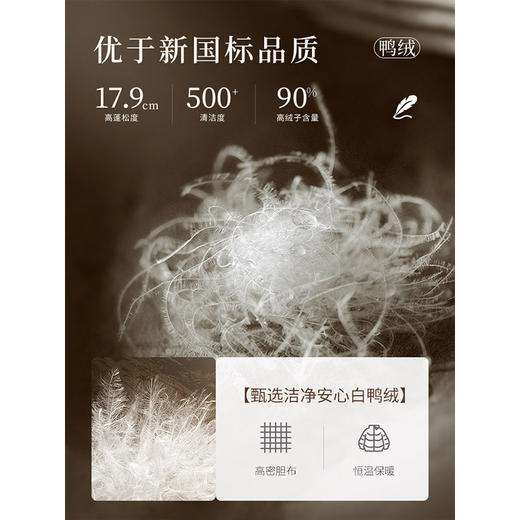 【年终特卖】熙世界冬季羽绒服短款2025新款黑色高领连帽90白鸭绒面包服外套 商品图3