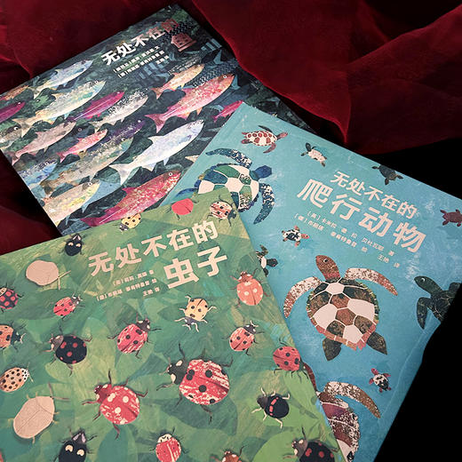 童书妈妈X浪花朵朵专场  无处不在系列 三册套装（鱼+虫子+爬行动物） 商品图1