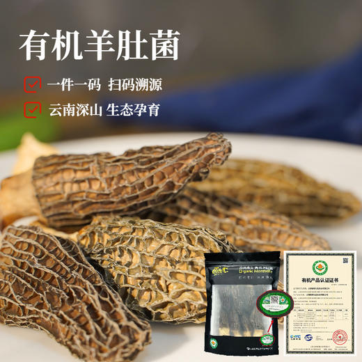 【云南高山有机羊肚菌】头茬新货 太阳自然晒干 精挑细选 大小均匀 纹路清晰 煲汤 炖煮 素炒皆可 2种规格任选 商品图4