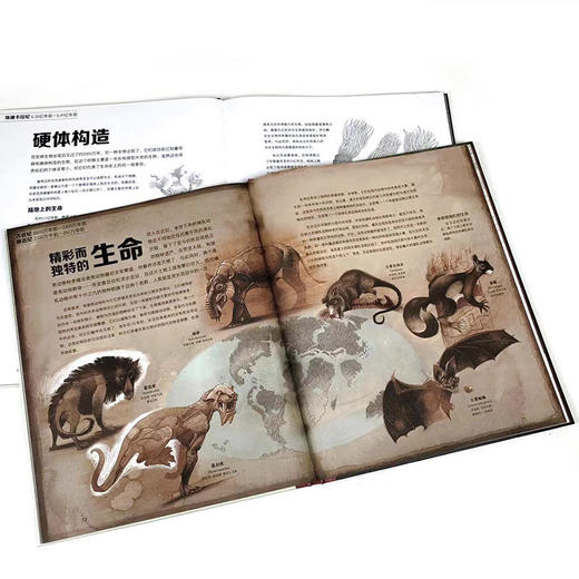 童书妈妈X浪花朵朵专场  地球46亿年：人类出现之前的故事 商品图5
