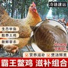【霸王鳖鸡套餐】滋补界的“神仙搭档”黄油老母鸡+甲鱼滋补养生胶原蛋白满满 商品缩略图0