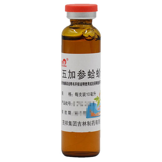 五加参蛤蚧精【10ml*10支】茂祥集团 商品图3