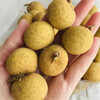 【泰国金龙眼/桂圆】精选盒装，清香鲜甜，汁水满溢，营养小精灵，肉肥核小 商品缩略图0