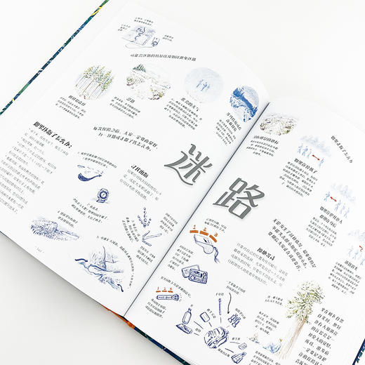  童书妈妈X浪花朵朵专场  踏入荒野：给孩子的野外生存指南 商品图5