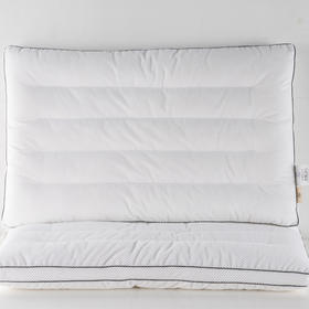 远梦风雅提花定型枕(对枕）