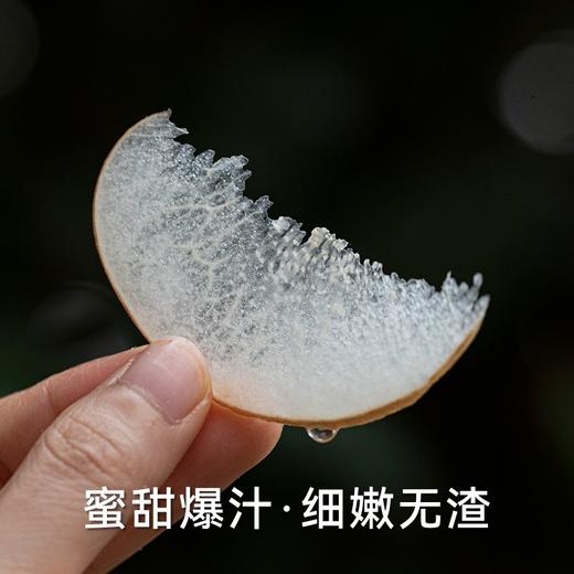 s  孔雀金枝 新疆 冰糖秋月梨 梨子 新疆梨 商品图3