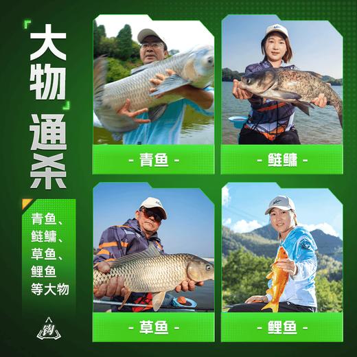 佳钓尼大物无结子线双钩成品黑坑竞技子线伊势尼鲢鳙鱼钩钓鱼用具 商品图4