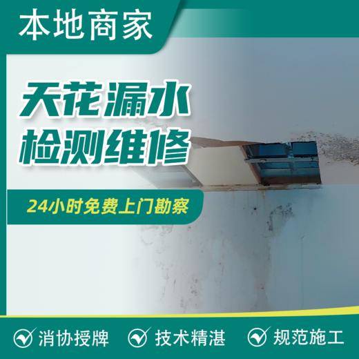 【仅限中山】_房屋修缮 具体以师傅上门实际勘察洽谈的价格为准 【保利】 商品图4