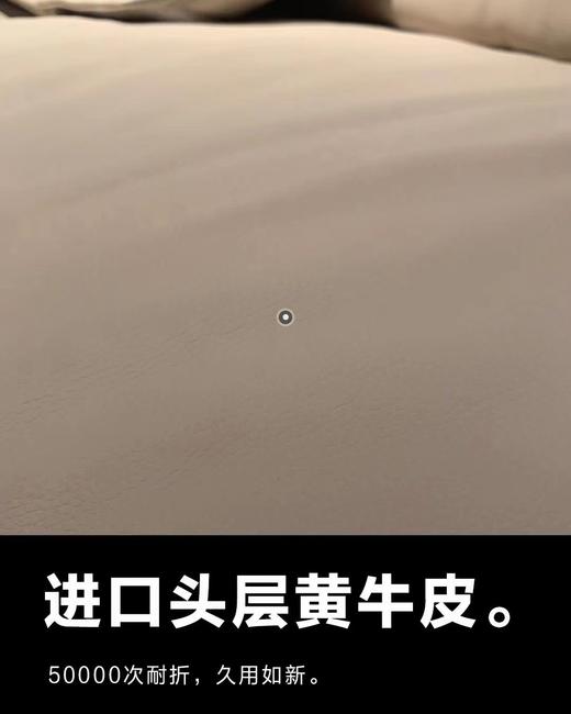 RICCIONE 瑞吉欧WN28824头层黄牛皮大象耳朵沙发 商品图4