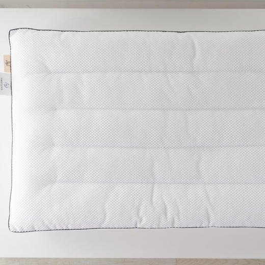 远梦风雅提花定型枕(对枕） 商品图1