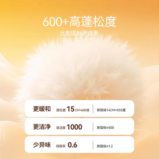 【实体店同款】女童75%鸭绒短款羽绒服2023年冬季新款安奈儿童装AG345599 商品图2