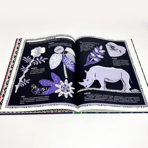  童书妈妈X浪花朵朵专场  植物：给孩子的30堂自然通识课 商品图3