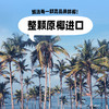 椰子知道 0糖厚椰乳 200g*9/200g*9*2 (赠咖啡液) 商品缩略图1