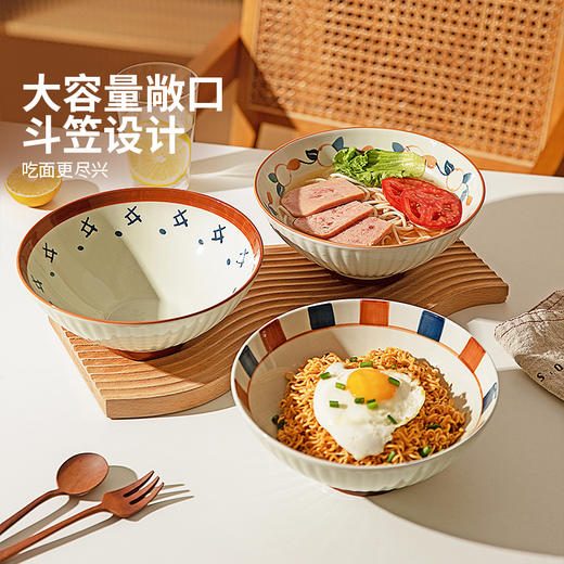 摩登主妇汤面碗家用2024新款面条碗泡面碗大碗斗笠碗吃面碗拉面碗 商品图2