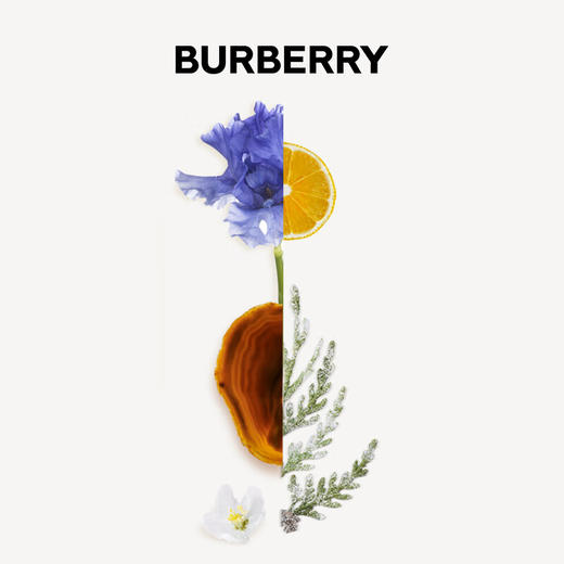 BURBERRY博柏利周末女士香水 商品图1