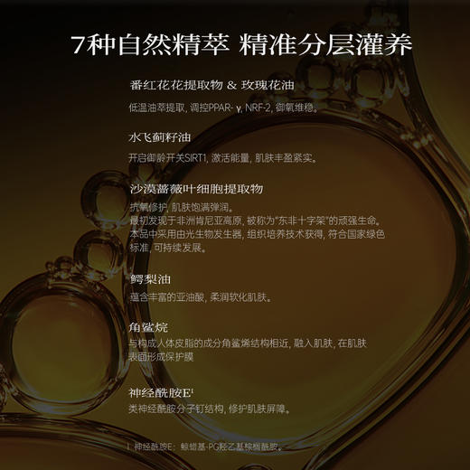 第十四章修护活颜预言精华油0.3mL*56粒 商品图5