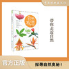 自然观察笔记 植物篇2232 商品缩略图0