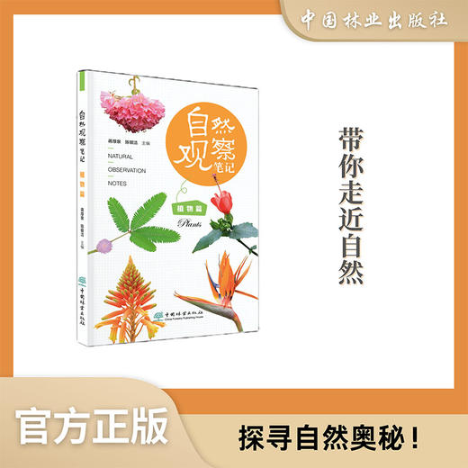 自然观察笔记 植物篇2232 商品图0