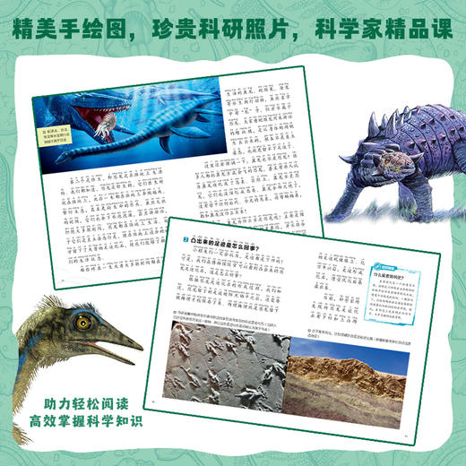 恐龙脚印里的秘密 李建军著 北京少年儿童出版社 商品图2