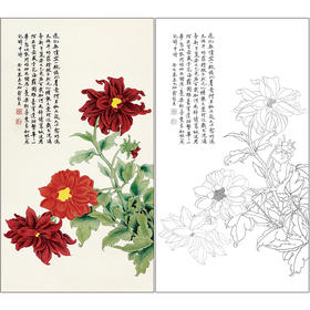 俞致贞花鸟工笔画白描底稿《大丽花》临摹勾线高清打印稿ZZ02
