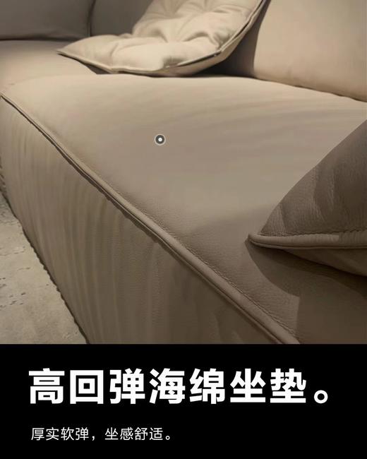 RICCIONE 瑞吉欧WN28824头层黄牛皮大象耳朵沙发 商品图5