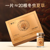 【蛹虫草片】补充营养 蛹虫虫草素≥4000μg/g，入肺入肾呵护健康 商品缩略图0
