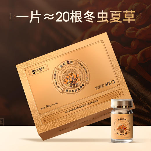 【蛹虫草片】补充营养 蛹虫虫草素≥4000μg/g，入肺入肾呵护健康 商品图0