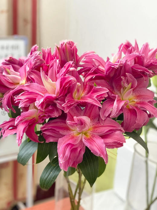 【AB级红美人重瓣百合】单头10支10朵/份 商品图1