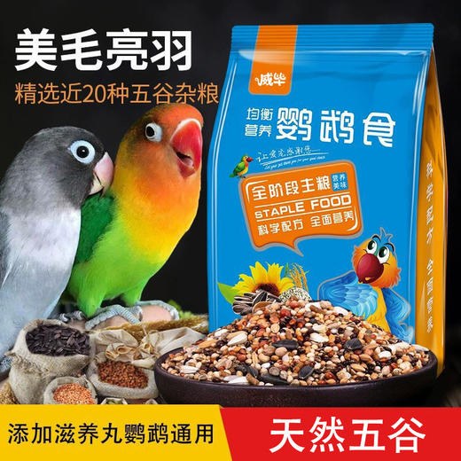 鹦鹉主粮500g/袋混合五谷亚麻籽 鸟类主食饲料批发 商品图0