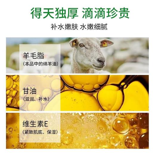 赫拉绵羊油倍润手霜50g/支 商品图2