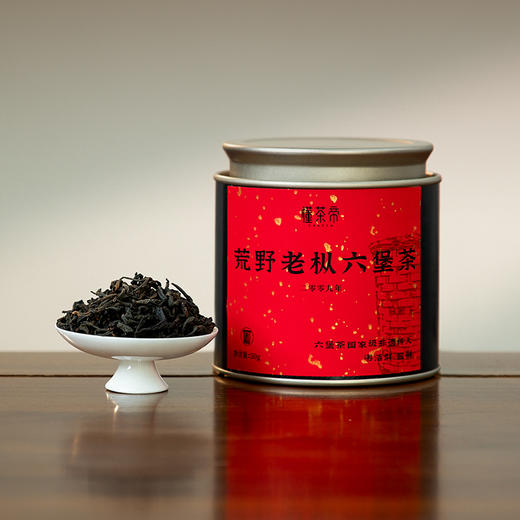 懂茶帝国非遗韦洁群老师六堡茶2009年荒野老枞六堡茶50g 商品图4