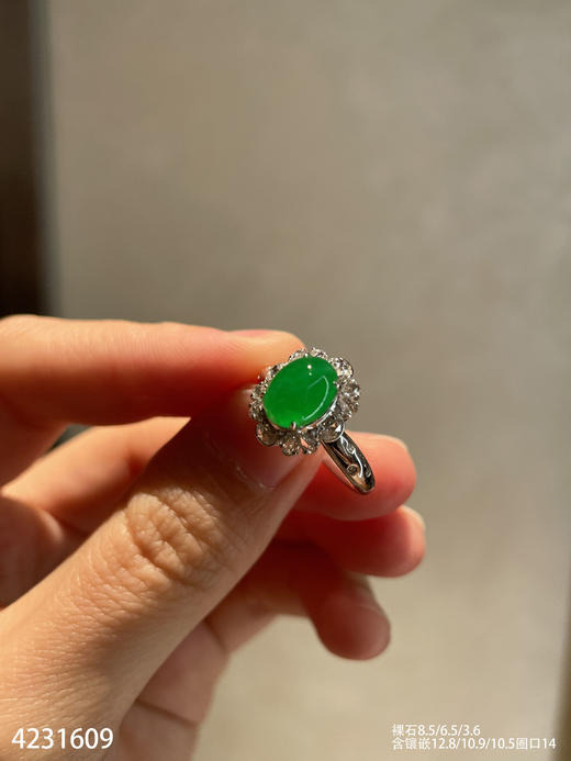 4231609，蛋面戒指。具体价格微信咨询 商品图1