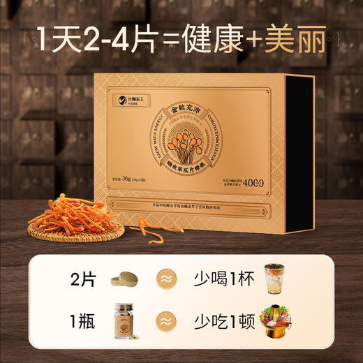 【蛹虫草片】补充营养 蛹虫虫草素≥4000μg/g，入肺入肾呵护健康 商品图4