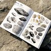  童书妈妈X浪花朵朵专场  盛口满的手绘自然图鉴 7册套装 商品缩略图7