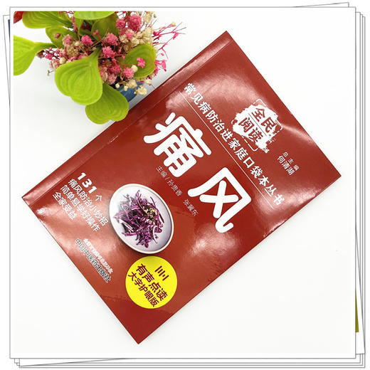 痛风 全民阅读 常见病防治进家庭口袋本丛书 何清湖 总主编 中国中医药出版社 商品图1