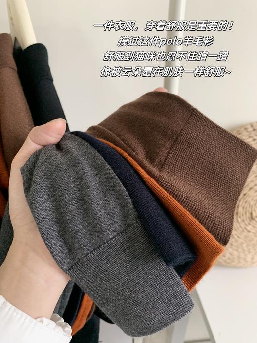 【现货】100%羊绒【POLO领长袖】L码235g领型宽窄适中，商务与时尚的结合，舒适感强，难以比拟的细腻触感，轻盈JF05 商品图7