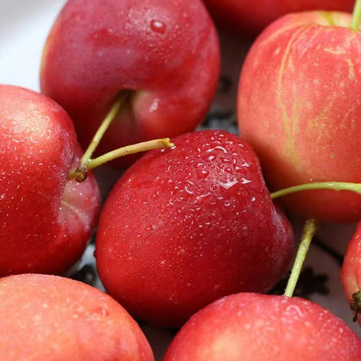 【锦绣海棠鸡心果】鸡心果抱抱桶陕西洛川鸡心果苹果 海棠小苹果 6桶/箱 约9斤装 新鲜水果 商品图3