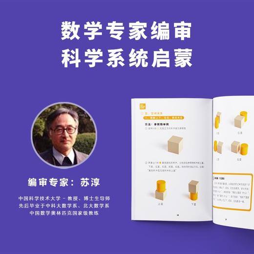 【赠16节数学动画】启蒙町数学早教启蒙实木早教积木 「从具象到抽象的数型结合」蒙氏平面立体教具 早教必入 商品图4