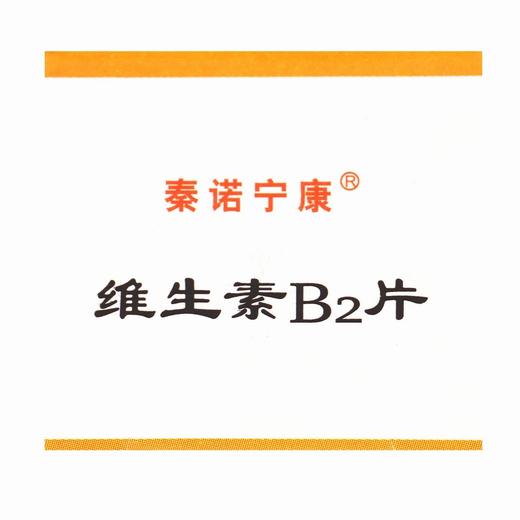 秦诺宁康,维生素B2片 【5毫克*100片】 陕西颐生堂 商品图4