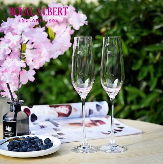 RoyalAlbert 皇家阿尔伯特Miranda联名水晶玻璃酒杯香槟杯礼盒一对 商品图3